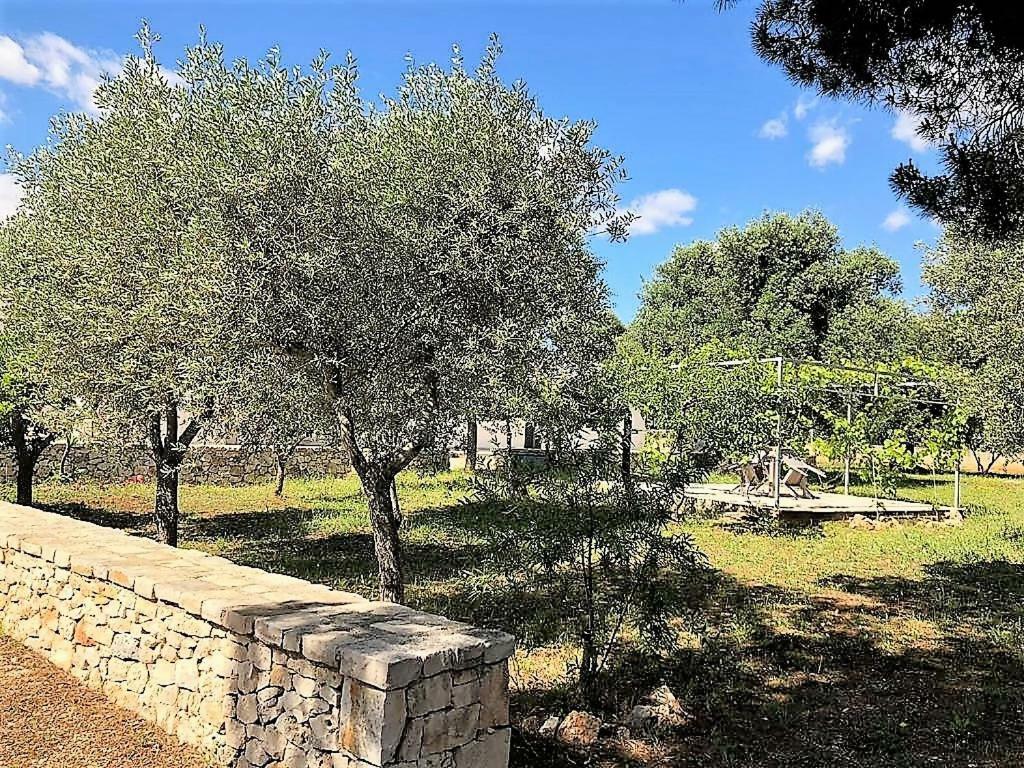 Le Stanze Di Casa Polinisso Guest House Carovigno Luaran gambar